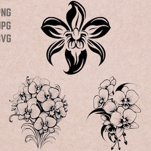 Orchid SVG designs, Orchid logo, Flower vector, Orchid Bouquet png, Orchid bundle, Orchid Clipart
