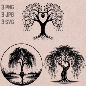 Diseños SVG de Willow Tree, logotipo de Willow Tree, vector de corazón de Willow Tree, PNG de bosque, paquete de Willow Tree, imágenes prediseñadas de la naturaleza