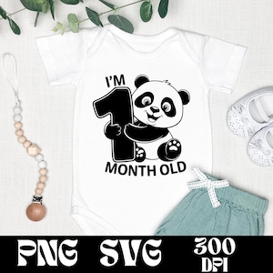 I'm 1 Month Old SVG & PNG Design | Baby Month Marker | Cute Baby Lion Cartoon | Milestone Vector Graphic | Gift for Baby | New Born Vector
