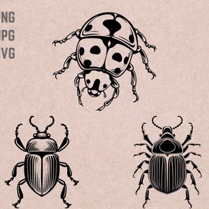 Disegni SVG di scarabeo, logo scarabeo, vettore coccinella, PNG di insetti, pacchetto scarabeo, clipart di insetti