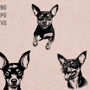 Desenhos SVG de Pinscher miniatura, logotipo de cara de cachorro, vetor de amante de cachorro, cachorro engraçado PNG, clipart de pacote de raça de cachorro, silhueta de animal de estimação, camiseta para impressão
