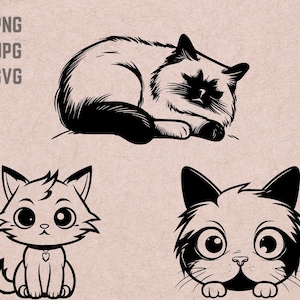 Ragdoll cat SVG designs, cat logo, cat lover vector, funny cat PNG, cat breed bundle clipart, pet silhouette ,T-shirt Printable