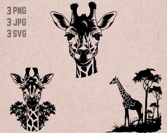 Giraffe Jungle Scene svg designs, Giraffe logo vector, Safari PNG, Jungle Scene bundle clipart, Zoo Animals JPG ,T-shirt Printable