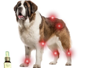 Aceite de masaje para perros mayores para dolores en las articulaciones, dificultad para calmarse por la noche y problemas de digestión
