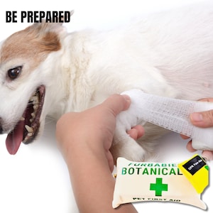 Peut inclure: Un chien blanc avec un bandage sur sa patte est allongé sur une surface blanche. Une personne tient la patte du chien. Une trousse de premiers soins verte et blanche avec le texte "Furbabie Botanical Pet First Aid" et un autocollant jaune avec le texte "CPR 1st Aid" est au premier plan.