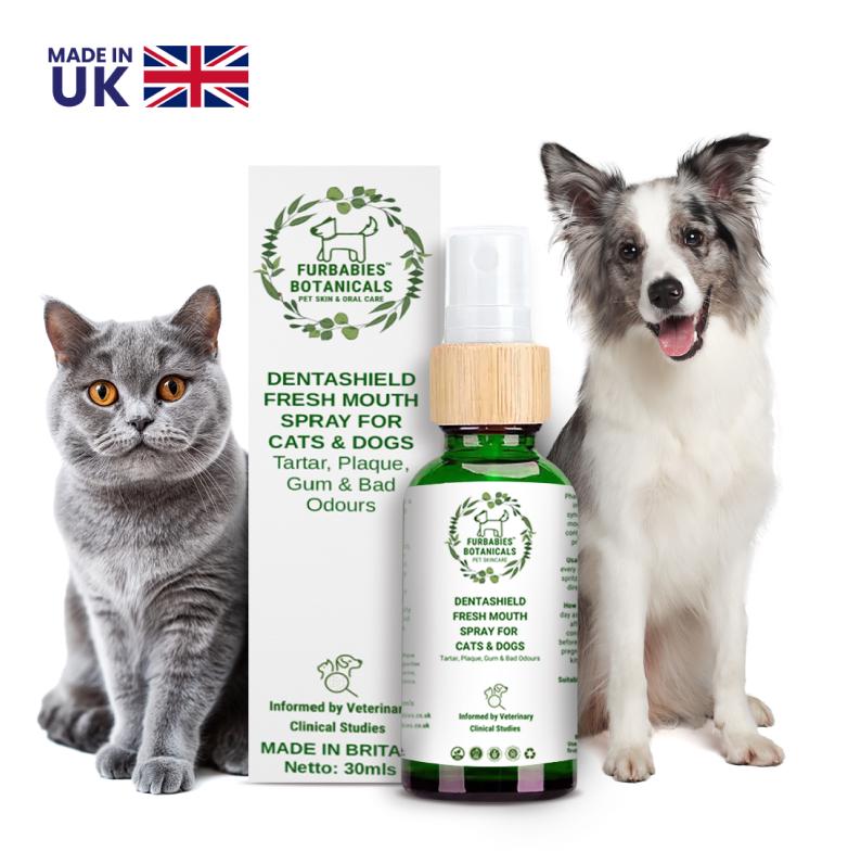 DentaShield Oral Smelly Breath and Plaque Spray for Cats & Dog Chlorhexidine and Hypochlorous Acid Free Formula| Latest Veterinary Research