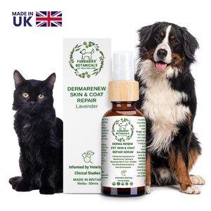 LAVENDER Skin Repair Serum for Dogs & Cats| Allergy relief  for Damaged Skin| Odours, Anxiety, HairFall, Natural Tick and Flea Repellant