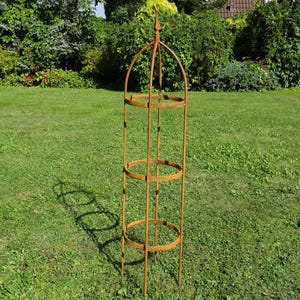 May include: A tall, cylindrical garden obelisk made of rusted metal. The structure features a pointed finial at the top, three circular horizontal rings connected by vertical bars, and four legs that extend downward to be inserted into the ground.