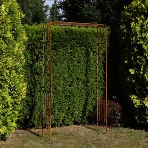 May include: A tall, rectangular garden arch constructed from thin, rust-coloured metal rods. The structure features a flat top and vertical side panels with a repeating chevron pattern, providing a simple, open frame for outdoor pathways.