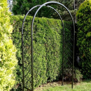 May include: A black metal garden arch with a diamond lattice design on the sides. The arch has a curved top and is set in a grassy garden with a green hedge in the background. The arch is designed for climbing plants.