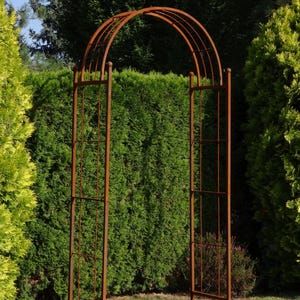 Rustieke metalen rozenboog voor klimplanten, steun pergolapassage