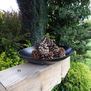 Op de afbeelding: Een zwarte metalen kom gevuld met dennenappels staat op een houten oppervlak. De kom is omringd door groen gebladerte.