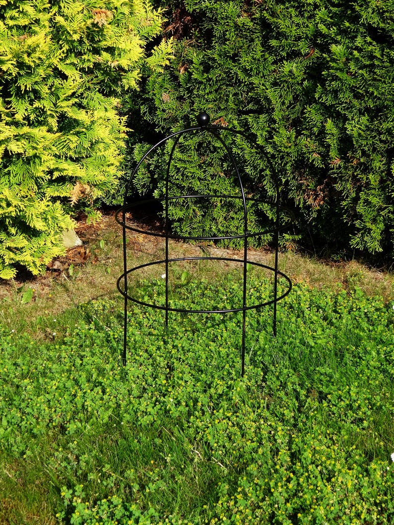 Op de afbeelding: Zwarte metalen tuinobelisk met een koepelvormige top en cirkelvormige steunen. De obelisk staat in een grasveld met groene bladeren op de achtergrond. De structuur is ontworpen om klimplanten te ondersteunen.