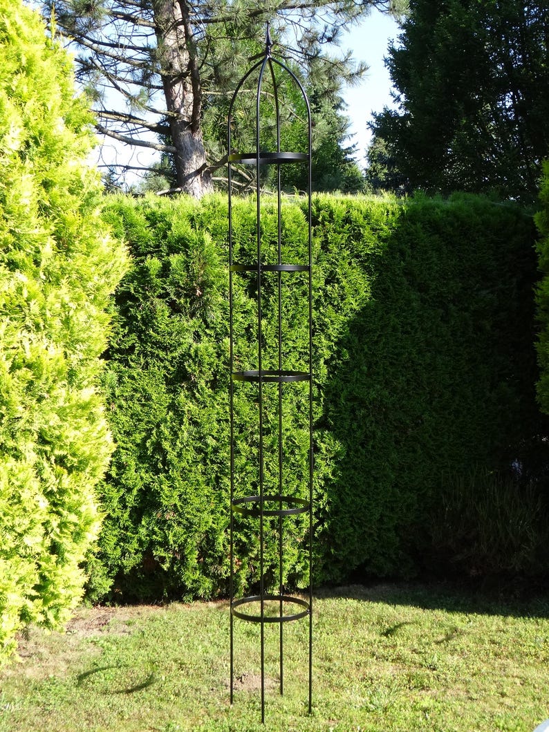 Op de afbeelding: Een hoge tuinobelisk van zwart metaal met een cilindrisch frame van verticale staven en vier gelijkmatig verdeelde cirkelvormige ringen. De structuur is afgewerkt met een puntige top en dient als ondersteuning voor klimplanten.