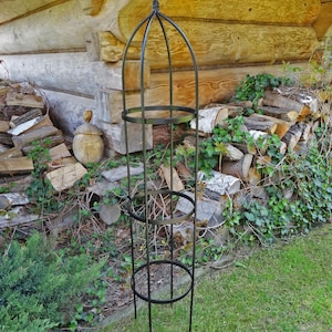 Op de afbeelding: Een hoge, zwarte metalen tuinobelisk met een slank, cilindrisch frame, drie horizontale cirkelvormige ringen en een puntige top. De structuur is opgebouwd uit dunne, verticale metalen staven die aan de bovenzijde naar binnen buigen.