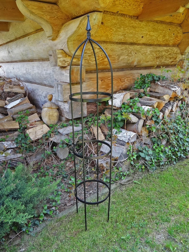 Op de afbeelding: Een hoge, zwarte metalen tuinobelisk met een slank, cilindrisch frame, drie horizontale cirkelvormige ringen en een puntige top. De structuur is opgebouwd uit dunne, verticale metalen staven die aan de bovenzijde naar binnen buigen.
