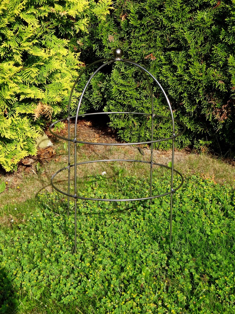 Op de afbeelding: Een zilverkleurig metalen tuinrek met een gewelfde bovenkant en cirkelvormige steunen. Het rek staat in een bed van groen gras en klaver, met een achtergrond van groen gebladerte.