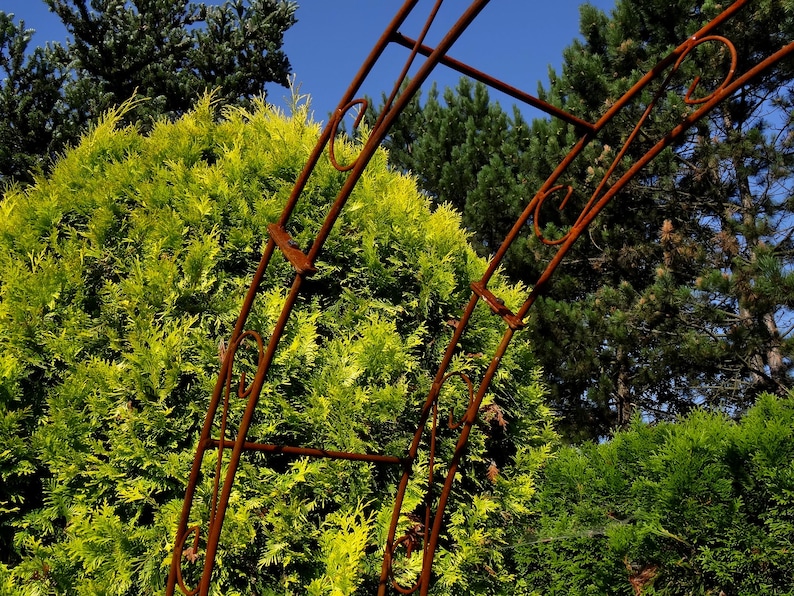 Metal Rose Arch With Pikes, Climbing Plant Pergola, Heavy Steel Garden ...