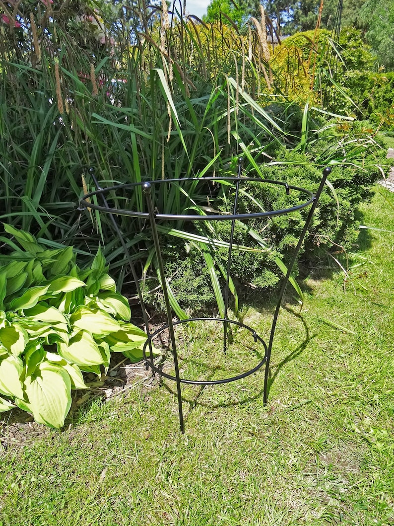 Op de afbeelding: Zwarte metalen plantenondersteuningskooi met een ronde bovenkant en drie poten. De kooi staat op groen gras.