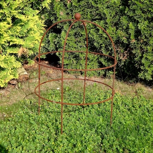 Op de afbeelding: Een roestbruine metalen plantensteun met een gewelfde bovenkant en cirkelvormige steunen. De structuur staat in een bed van groen gras en klaver, met een achtergrond van groene bladeren.