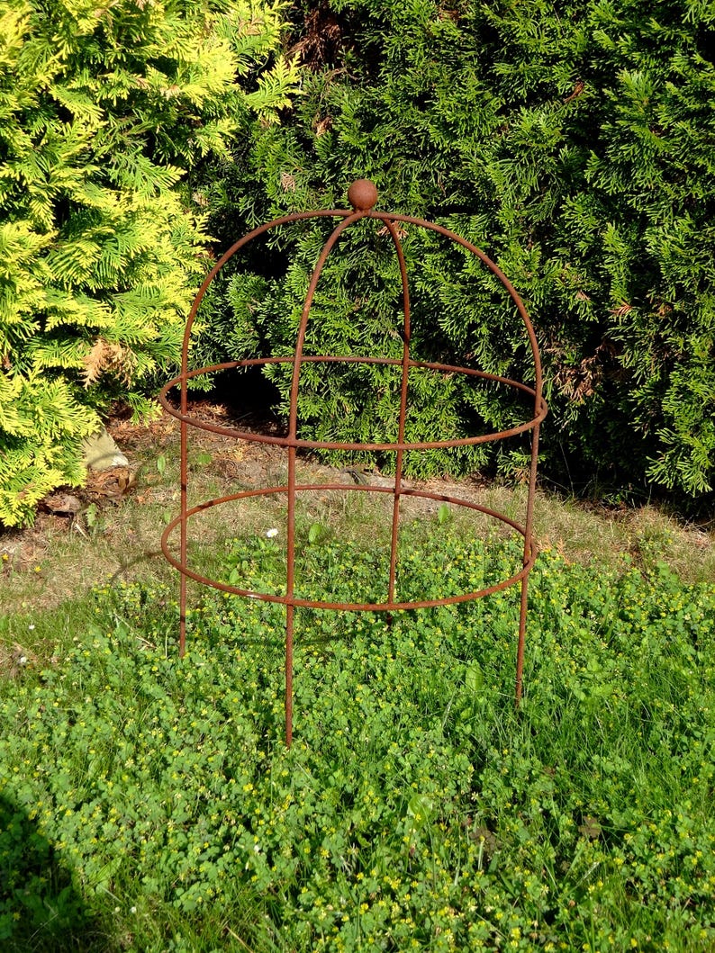 Op de afbeelding: Een roestbruine metalen plantensteun met een gewelfde bovenkant en cirkelvormige steunen. De structuur staat in een bed van groen gras en klaver, met een achtergrond van groene bladeren.