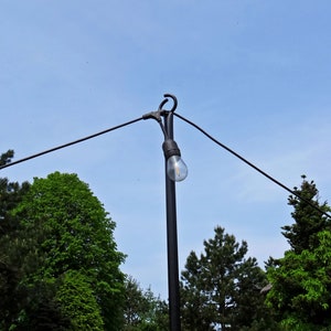 Puede incluir: Un poste de luz de metal negro con una sola bombilla colgando de &eacute;l. El poste est&aacute; en un &aacute;rea cubierta de hierba con &aacute;rboles en el fondo.