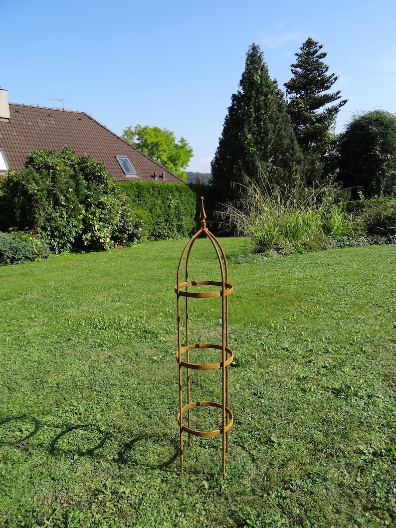 Rustieke metalen tuinobelisk, plantensteun, natuurlijk roest afbeelding 8