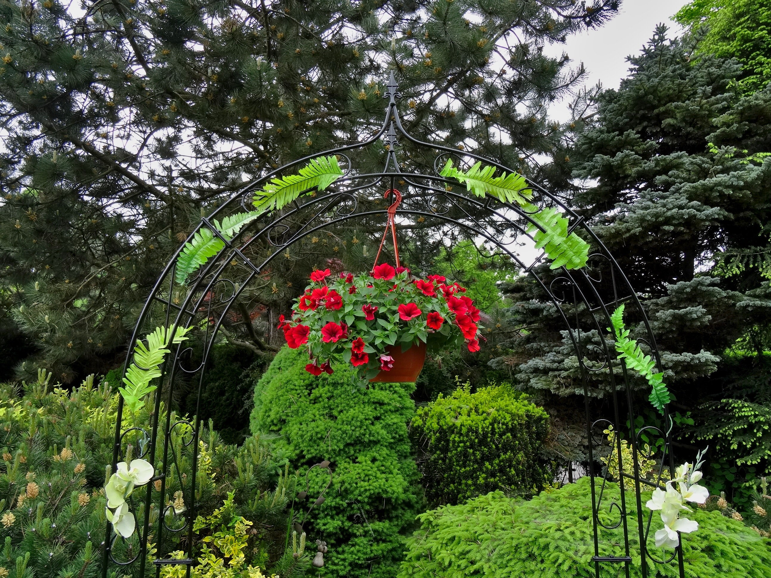 Metal Rose Arch With Metal Pikes Pergola for Climbing Plants - Etsy