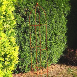 Może przedstawiać: Wysoki, cylindryczny obelisk ogrodowy wykonany z cienkich, rdzawych metalowych prętów. Konstrukcja posiada spiczasty wierzchołek z małym kulistym zwieńczeniem, pionowe wsporniki oraz dwa okrągłe poziome pierścienie zapewniające stabilność ramy.