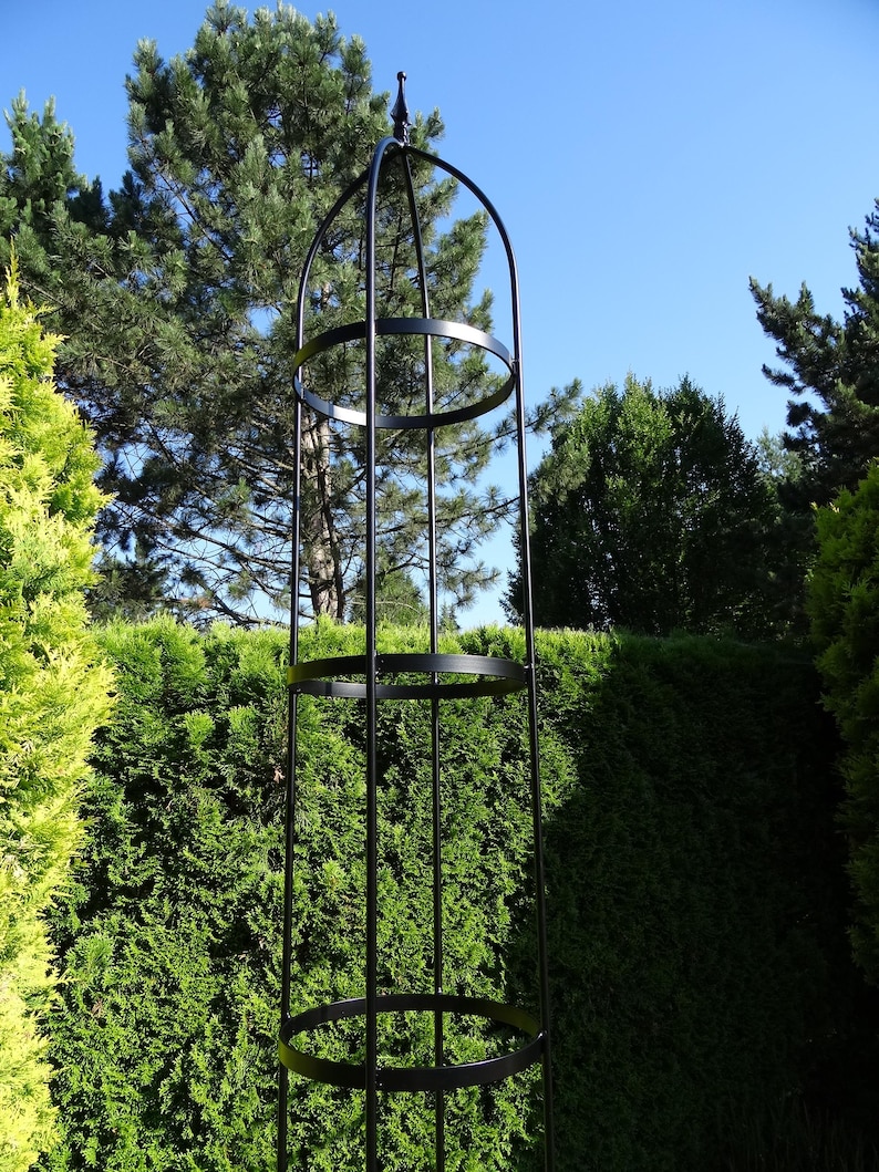 Rustieke metalen tuinobelisk, plantensteun, natuurlijk roest afbeelding 10