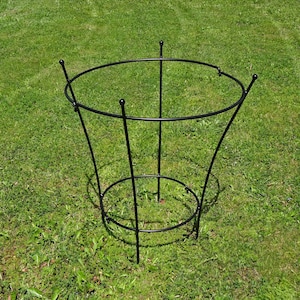 Op de afbeelding: Zwarte metalen plantenondersteuning met een ronde bovenkant en een ronde basis. De ondersteuning is ontworpen om planten te helpen rechtop te groeien.