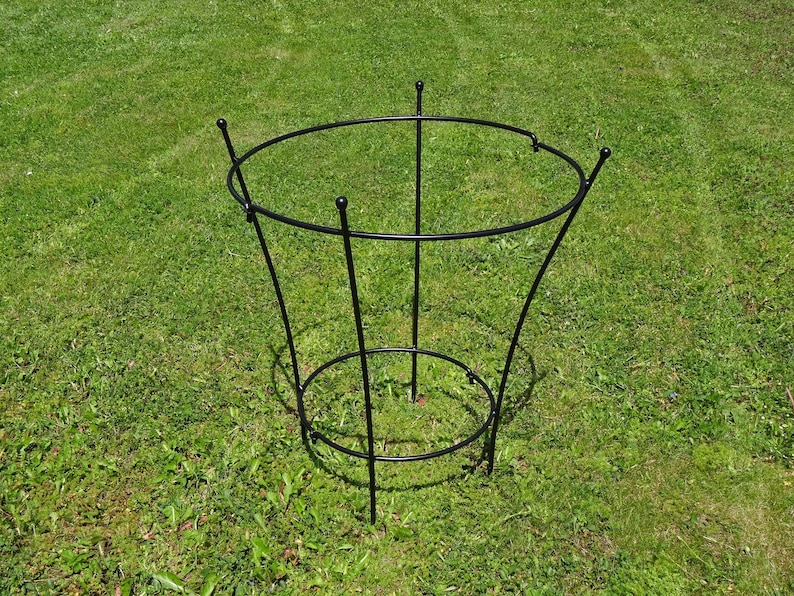 Op de afbeelding: Zwarte metalen plantenondersteuning met een ronde bovenkant en een ronde basis. De ondersteuning is ontworpen om planten te helpen rechtop te groeien.
