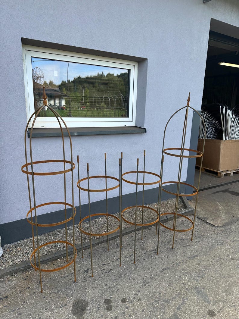 Op de afbeelding: Vier hoge, cilindrische plantensteunen voor in de tuin, gemaakt van roestig metaal. Elke structuur bestaat uit verticale staven verbonden door drie horizontale ringen, waarbij de twee grootste steunen een puntige topafwerking hebben.
