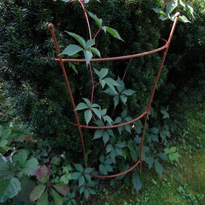 Op de afbeelding: Een roestig metalen plantenspalier met drie niveaus, dat een klimplant met groene bladeren ondersteunt. Het spalier staat in een tuin met groen gras en andere planten.