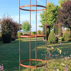Op de afbeelding: Een hoge, roestkleurige metalen tuinobelisk met een verticaal frame, drie cirkelvormige steunringen en een puntige knop aan de bovenkant. De structuur is ontworpen voor klimplanten en staat rechtop in een tuin.