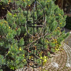 Rustieke metalen tuinobelisk, plantensteun, natuurlijk roest afbeelding 7