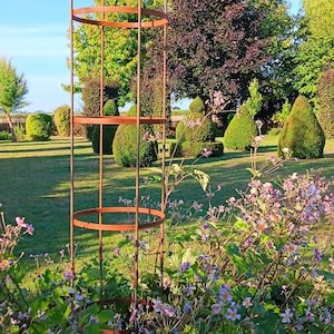 Rustieke metalen tuinobelisk, plantensteun, natuurlijk roest afbeelding 5