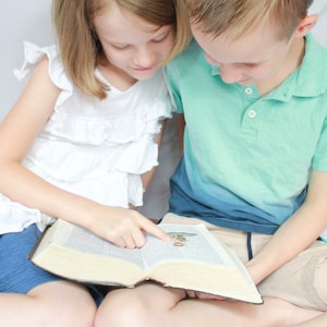 Removable Transparent Scripture Stickers