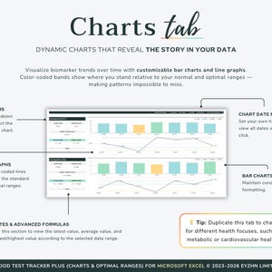 Overview of the Charts tab in the Excel template, displaying clean bar and line graphs of blood test history.