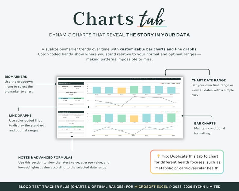 Overview of the Charts tab in the Excel template, displaying clean bar and line graphs of blood test history.
