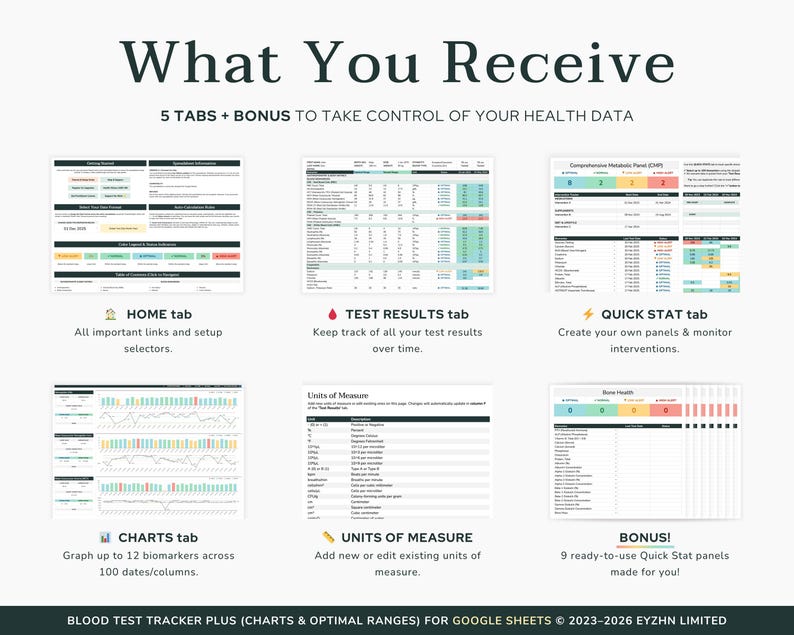 Image detailing the digital download package contents, including the Google Sheets template link and step-by-step tutorial access.
