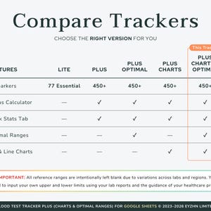 Image detailing the digital download package contents, including the Google Sheets template link and step-by-step tutorial access.