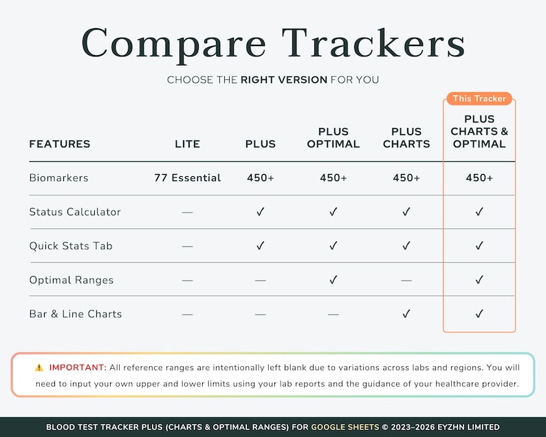 Image detailing the digital download package contents, including the Google Sheets template link and step-by-step tutorial access.
