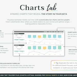 Overview of the Charts tab in the Google Sheets template, displaying clean bar and line graphs of blood test history.