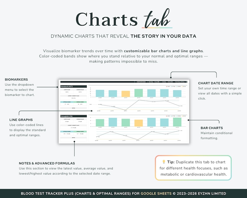 Overview of the Charts tab in the Google Sheets template, displaying clean bar and line graphs of blood test history.