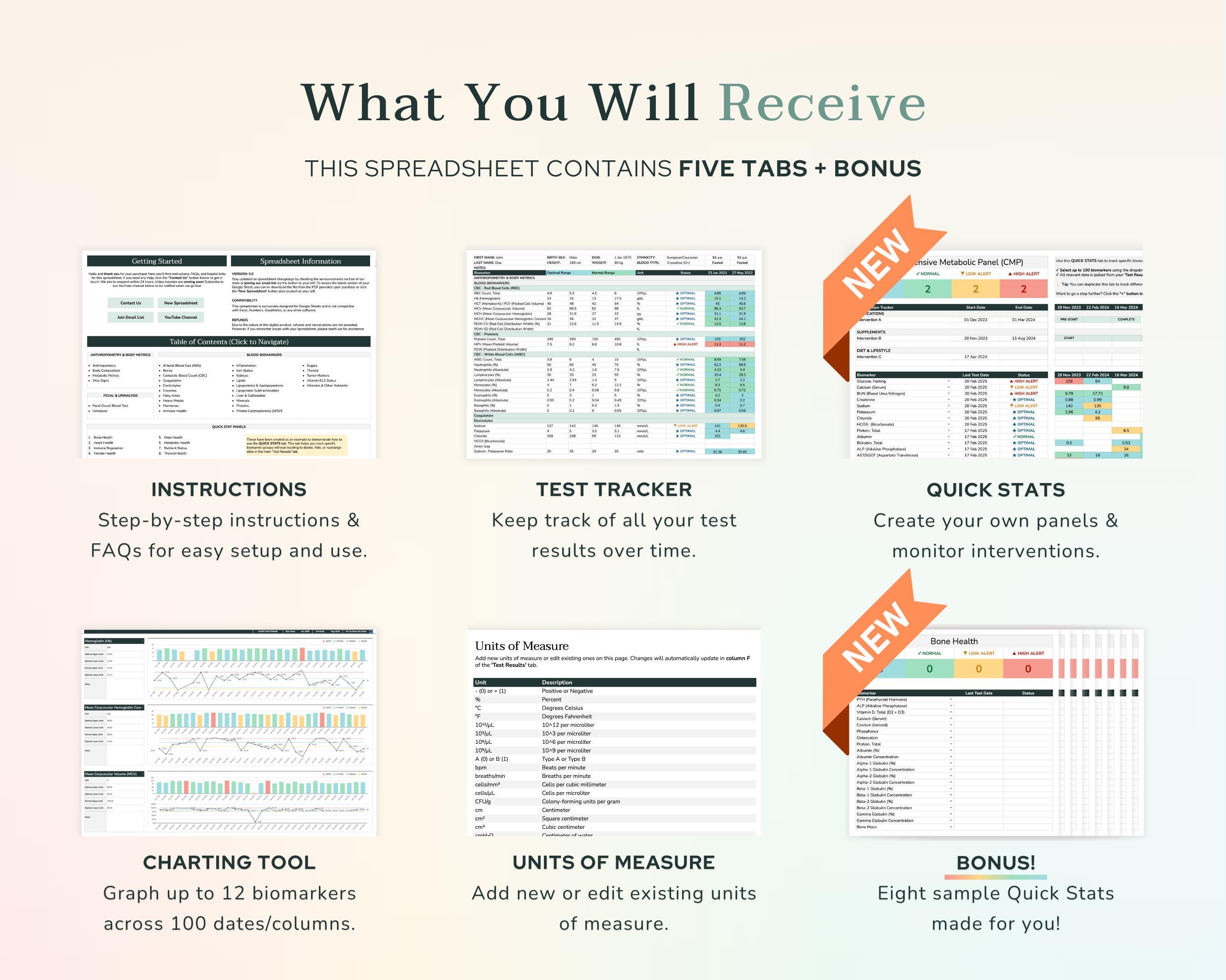 Excel Blood Test Results Tracker – Charts & Optimal Ranges | Functional ...