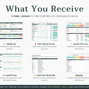 Image detailing the digital download package contents, including the Excel spreadsheet file and step-by-step tutorial access.