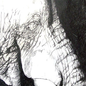 Elephant Drawing Wall Art, Elephant Drawing Poster, Elephant Pictures, Animals Pictures, Animals Poster, Digital download