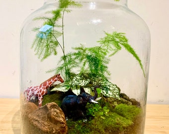 Glass Indoor Terrarium with Cork lid for children  - Indoor mini ecosystem with moss and plants. Jungle animal themed