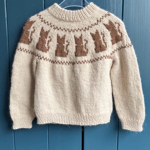Jersey de gatos - tallas de 2 a 12 años - patrón de punto fácil en neerlandés e inglés - jersey con estampado de gatos en dos colores